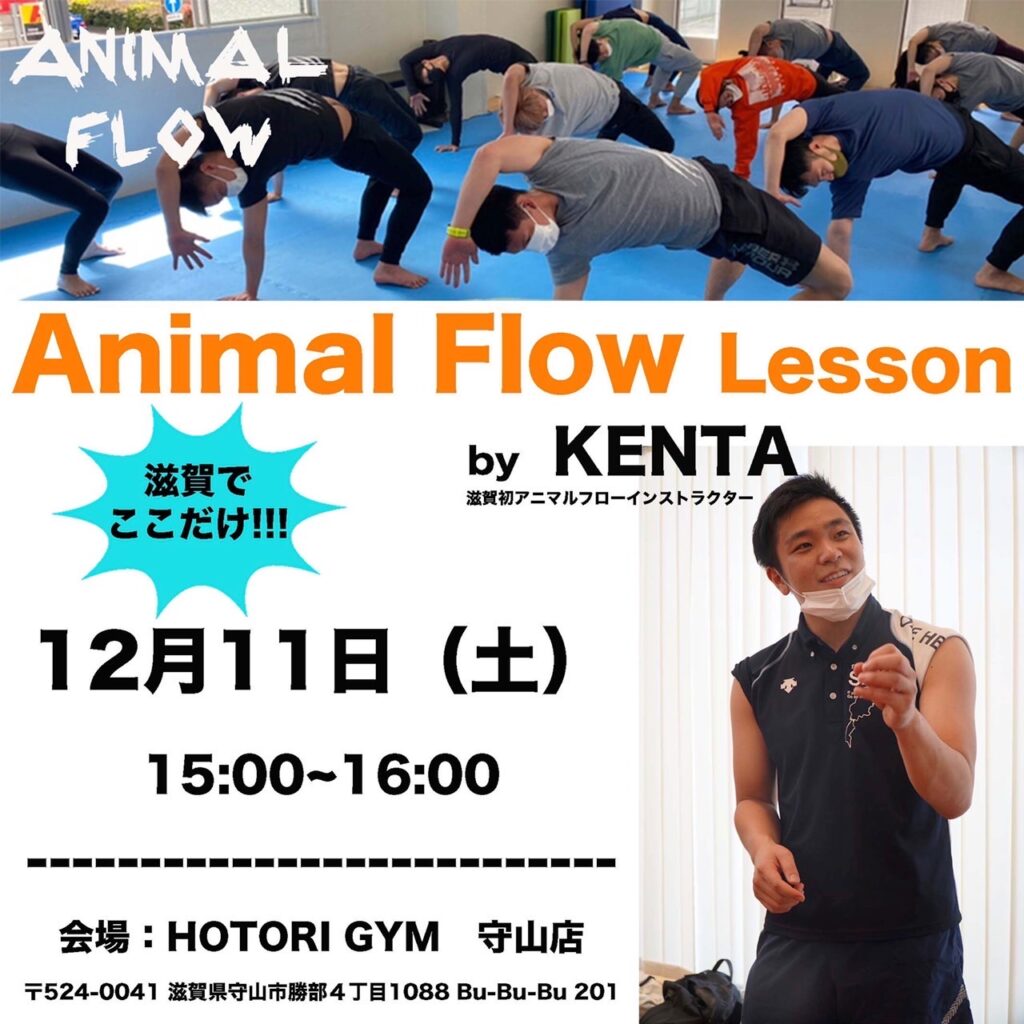 Animal Flow